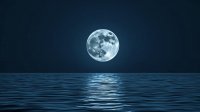 Soft, Soothing Sounds Image